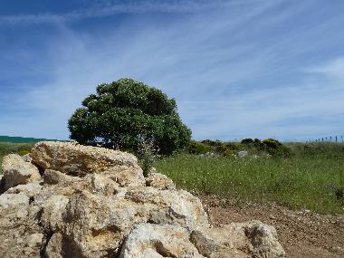 Villa in Azoia (Pennsula de Setbal) oder Ferienwohnung oder Ferienhaus