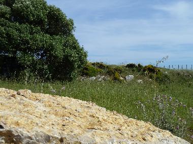 Villa in Azoia (Pennsula de Setbal) oder Ferienwohnung oder Ferienhaus