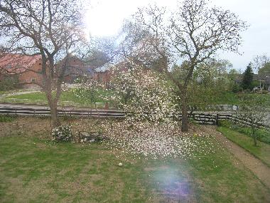Blick aus dem Fenster Richtung Osten / Dorfteich