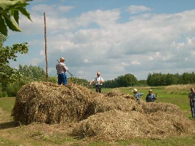 Bauern beim  Heuschobern