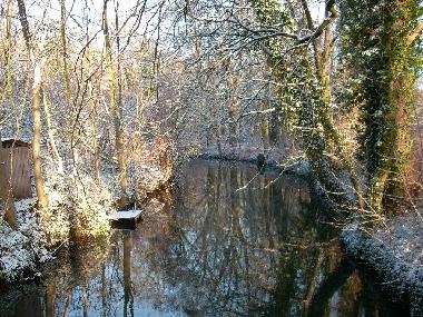 Bersteflie� im Winter