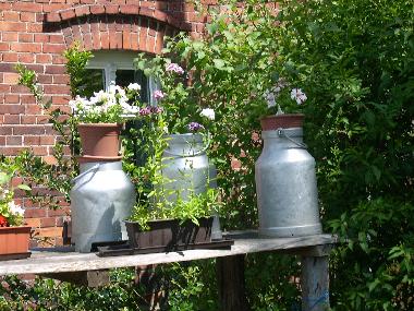 Hanschkow-Haus in Altzauche-- jeden Dienstag  im Sommer Plinse  essen
