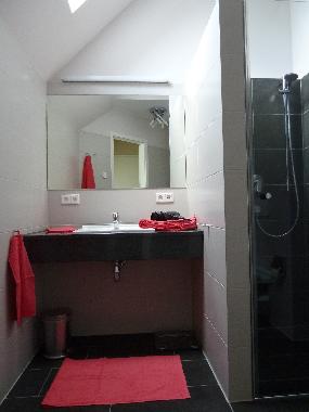 Der Waschtisch mit bodentiefer Dusche..