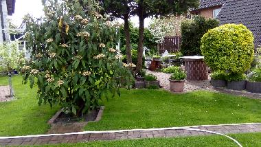 Ferienwohnung in Ueckermnde (Vorpommern) oder Ferienwohnung oder Ferienhaus