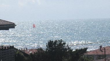 Villa in ANGLET (Pyr�n�es-Atlantiques) oder Ferienwohnung oder Ferienhaus