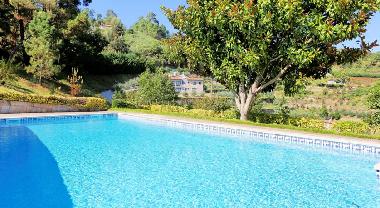 Ferienhaus in Paredes Viadores (Norte) oder Ferienwohnung oder Ferienhaus