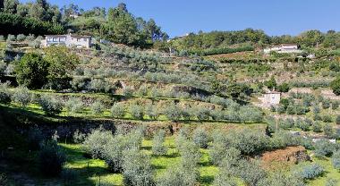 Ferienhaus in Paredes Viadores (Norte) oder Ferienwohnung oder Ferienhaus