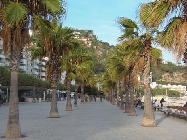 Ferienwohnung in  BLANES (Girona) oder Ferienwohnung oder Ferienhaus