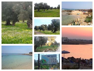 Ferienhaus in serranova (Brindisi) oder Ferienwohnung oder Ferienhaus