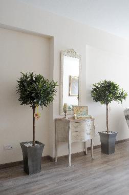 Ferienwohnung in NICOSIA (Nicosia) oder Ferienwohnung oder Ferienhaus