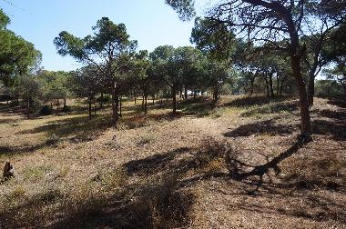 Ferienwohnung in urb. Lomas del Polo (Alicante / Alacant) oder Ferienwohnung oder Ferienhaus