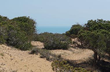 Ferienwohnung in urb. Lomas del Polo (Alicante / Alacant) oder Ferienwohnung oder Ferienhaus