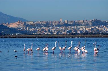 Ferienwohnung in Quartu (Cagliari) oder Ferienwohnung oder Ferienhaus