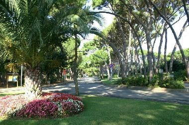Ferienwohnung in Castiglioncello (Livorno) oder Ferienwohnung oder Ferienhaus