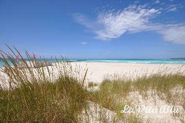Ferienwohnung in Castiglioncello (Livorno) oder Ferienwohnung oder Ferienhaus