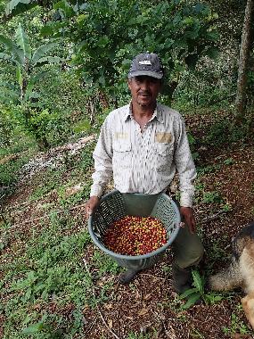 Ferienhaus in Turrialba (Cartago) oder Ferienwohnung oder Ferienhaus