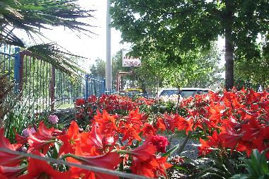 Ferienwohnung in Starigrad Paklenica (Zadarska) oder Ferienwohnung oder Ferienhaus