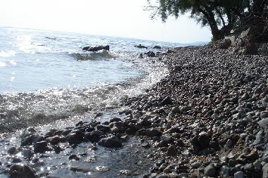 Ferienwohnung in Starigrad Paklenica (Zadarska) oder Ferienwohnung oder Ferienhaus