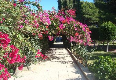 Villa in Pechina (Almera) oder Ferienwohnung oder Ferienhaus