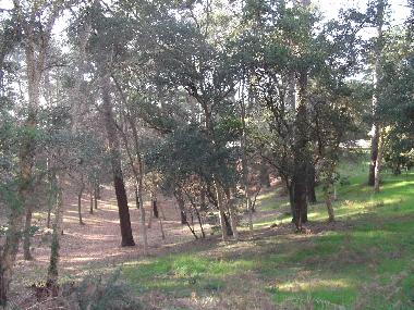Ferienhaus in Seignosse (Landes) oder Ferienwohnung oder Ferienhaus