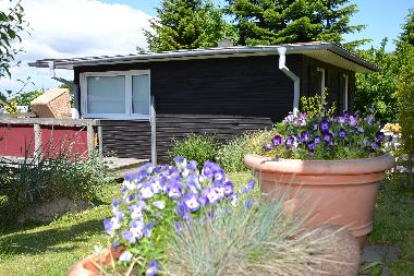 Ferienhaus in Binz Ostseebad (Ostsee-Inseln) oder Ferienwohnung oder Ferienhaus