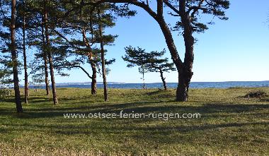 Ferienhaus in Binz Ostseebad (Ostsee-Inseln) oder Ferienwohnung oder Ferienhaus