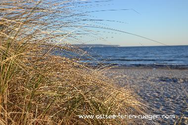 www.ostsee-ferien-ruegen.com