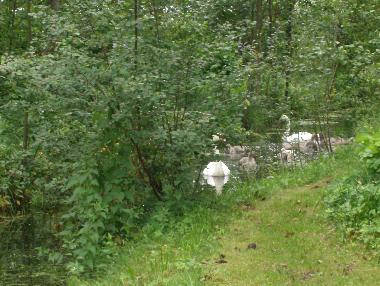 am Grundst�ck gelegener kleiner Kanal