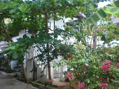Ferienwohnung in Panglao Bohol (Bohol) oder Ferienwohnung oder Ferienhaus