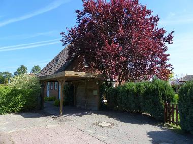 Ferienhaus in Sch�nberg-Kalifornien (Ostsee-Festland) oder Ferienwohnung oder Ferienhaus