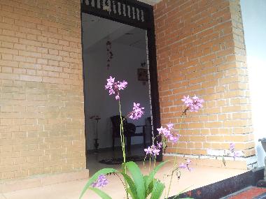 Pension in Hikkaduwa (Galle) oder Ferienwohnung oder Ferienhaus