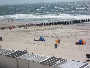 Ferienhaus in Zoutelande/Westkapelle (Zeeland) oder Ferienwohnung oder Ferienhaus