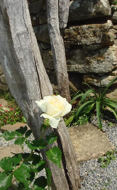 Ferienwohnung in dolceacqua (Imperia) oder Ferienwohnung oder Ferienhaus