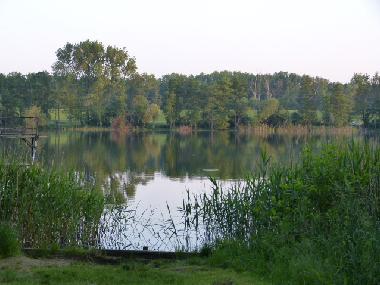 Ferienhaus in Bad Freienwalde (Mrkisch-Oderland) oder Ferienwohnung oder Ferienhaus