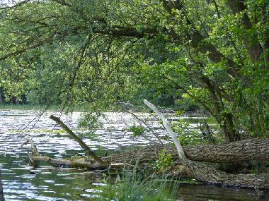 Ferienhaus in Bad Freienwalde (M�rkisch-Oderland) oder Ferienwohnung oder Ferienhaus