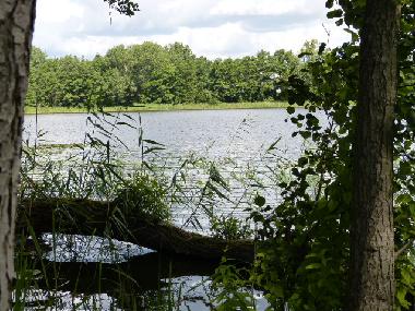 Ferienhaus in Bad Freienwalde (M�rkisch-Oderland) oder Ferienwohnung oder Ferienhaus