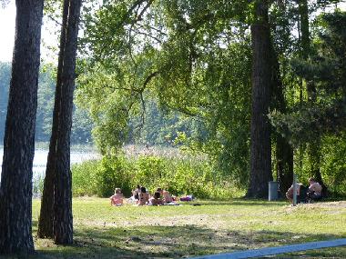 Ferienhaus in Bad Freienwalde (M�rkisch-Oderland) oder Ferienwohnung oder Ferienhaus