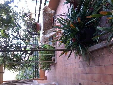 Ferienwohnung in beausoleil (Monaco) oder Ferienwohnung oder Ferienhaus