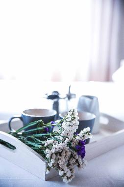 Ferienwohnung in Nikiti (Chalkidiki) oder Ferienwohnung oder Ferienhaus