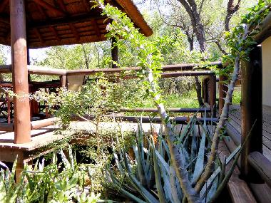Ferienwohnung in Hoedspruit (Mpumalanga) oder Ferienwohnung oder Ferienhaus