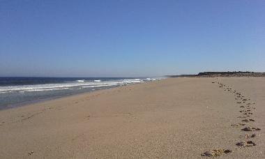 Ferienhaus in Melides (Alentejo Litoral) oder Ferienwohnung oder Ferienhaus