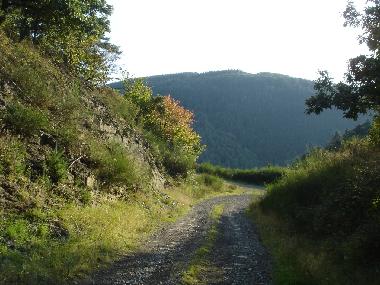 Ferienwohnung in Ahrbrck (Eifel - Ahr) oder Ferienwohnung oder Ferienhaus