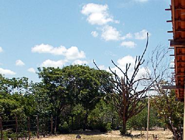Ferienhaus in Icapui (Ceara) oder Ferienwohnung oder Ferienhaus