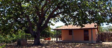 Ferienhaus in Icapui (Ceara) oder Ferienwohnung oder Ferienhaus