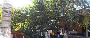 Ferienhaus in Icapui (Ceara) oder Ferienwohnung oder Ferienhaus