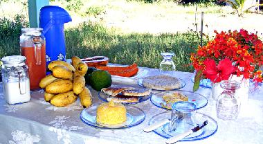 Pension in Icapui (Ceara) oder Ferienwohnung oder Ferienhaus