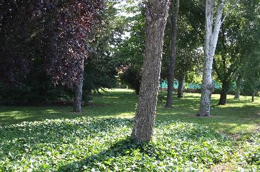 Villa in LARDERO (La Rioja) oder Ferienwohnung oder Ferienhaus