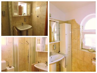 Villa in Nova vas (Istarska) oder Ferienwohnung oder Ferienhaus