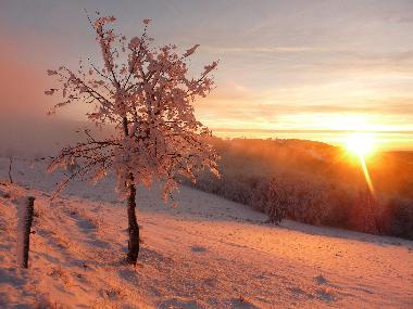 Chalet in saint maurice sur moselle (Vosges) oder Ferienwohnung oder Ferienhaus