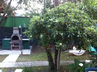 Ferienwohnung in Igalo (Montenegro) oder Ferienwohnung oder Ferienhaus